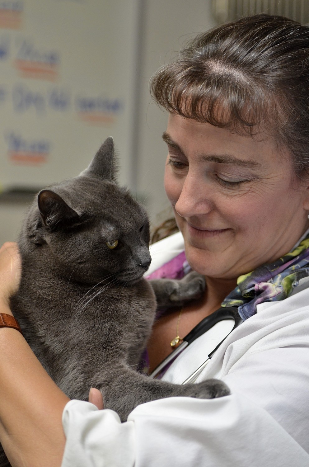 Auburn South Veterinary Hospital Auburn, WA Our Doctors